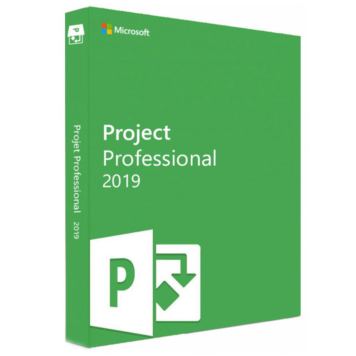 Microsoft Project Professional 2019 